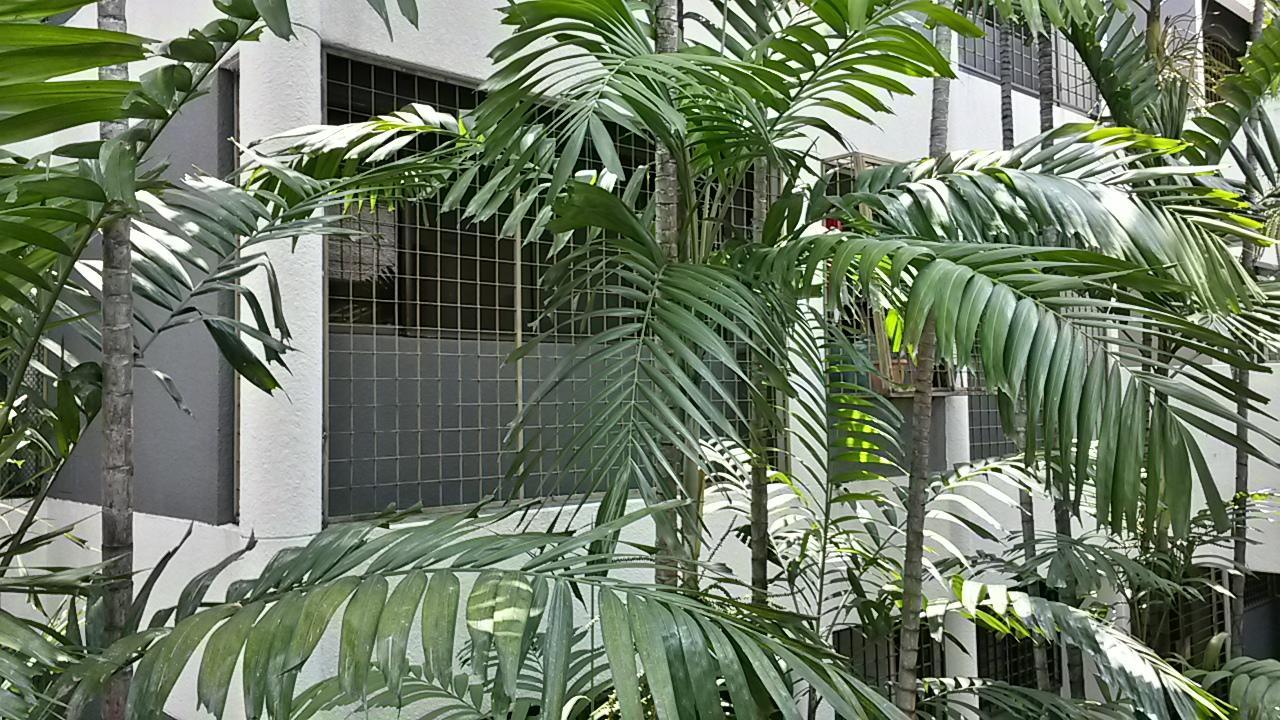 קואלה לומפור The Garden Apartment At Bangsar מראה חיצוני תמונה